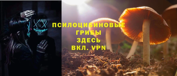шишки Сосновка