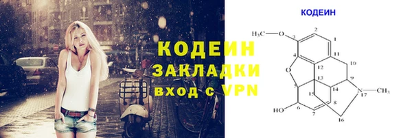 шишки Сосновка