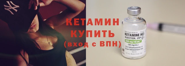 шишки Сосновка
