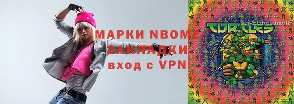 шишки Сосновка