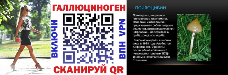где найти наркотики  Унеча  OMG   Галлюциногенные грибы Cubensis 
