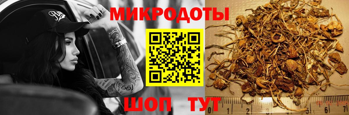 Галлюциногенные грибы Cubensis  Вход с VPN  Унеча  Галлюциногенные грибы ЛСД 