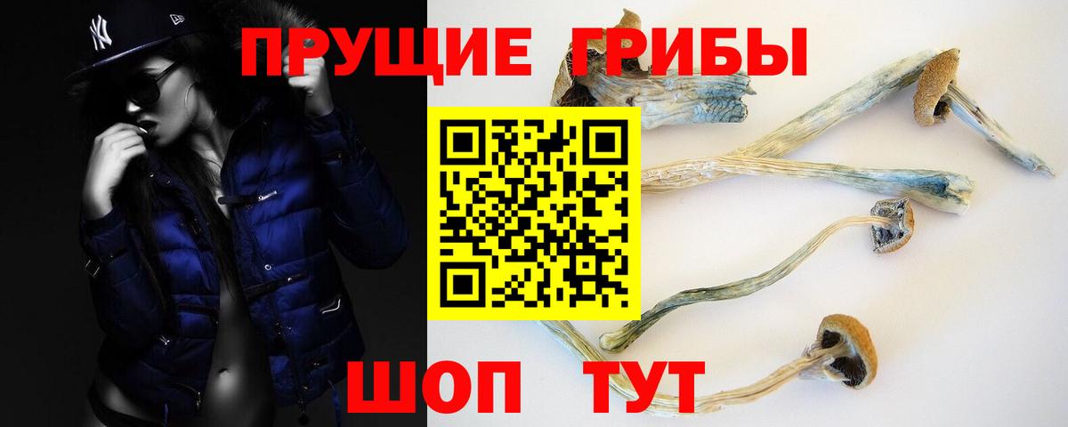 Галлюциногенные грибы Psilocybe Унеча