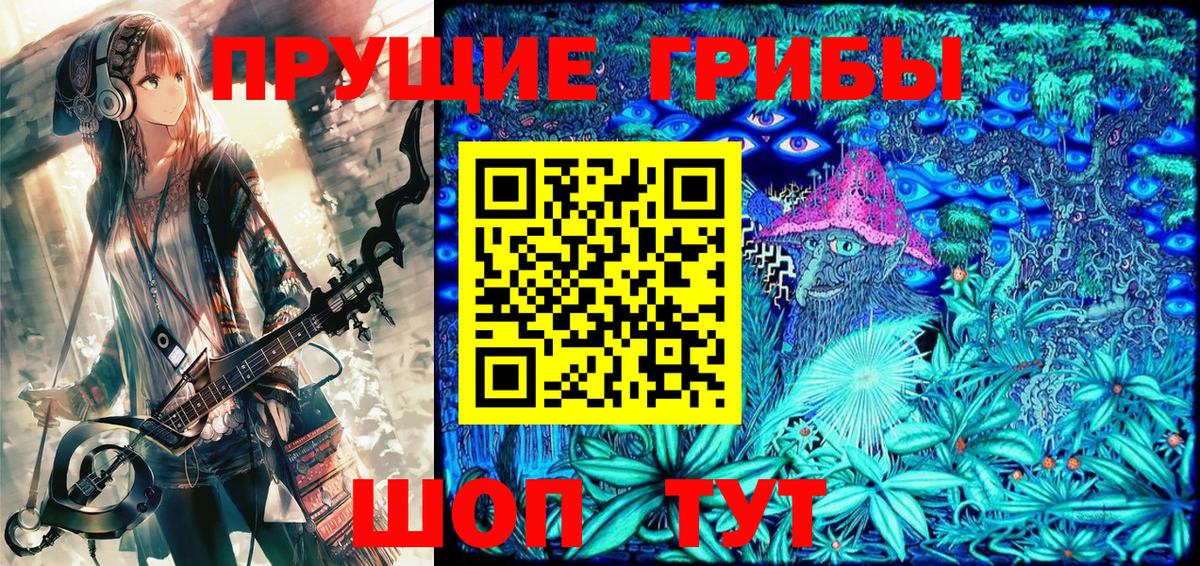 Псилоцибиновые грибы GOLDEN TEACHER  Унеча  Псилоцибиновые грибы Psilocybe 